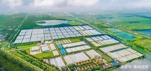 日本光伏廠商宣告停產,曾經世界第一的工廠,最終敗給中國企業