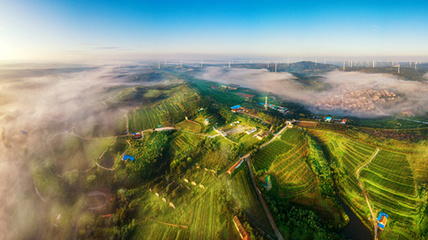 現(xiàn)代農(nóng)業(yè)發(fā)力，煙臺(tái)大戶(hù)莊園描繪鄉(xiāng)村振興壯美畫(huà)卷